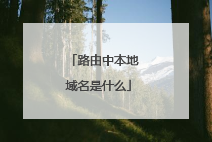 路由中本地域名是什么