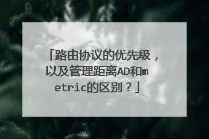 路由协议的优先级,以及管理距离AD和metric的区别?