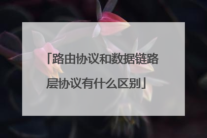 路由协议和数据链路层协议有什么区别