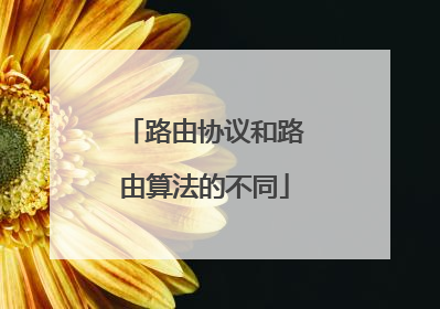 路由协议和路由算法的不同