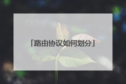 路由协议如何划分