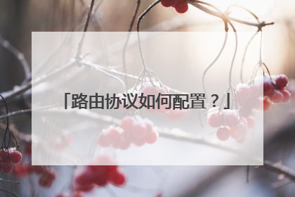 路由协议如何配置?
