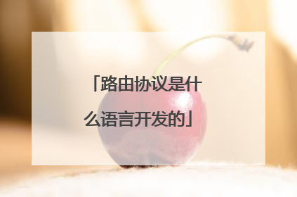 路由协议是什么语言开发的