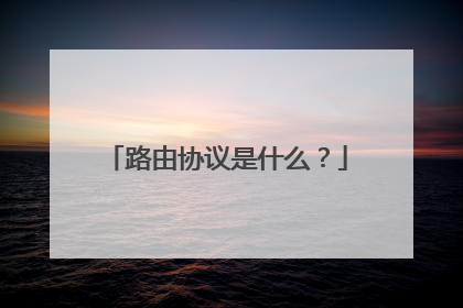 路由协议是什么？