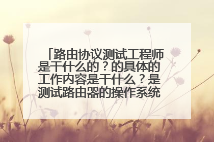 路由协议测试工程师是干什么的？的具体的工作内容是干什么？是测试路由器的操作系统么？跪求解答