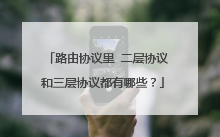 路由协议里 二层协议和三层协议都有哪些？