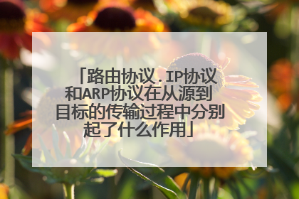 路由协议.IP协议和ARP协议在从源到目标的传输过程中分别起了什么作用