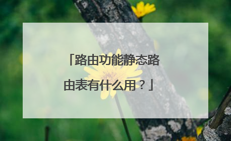 路由功能静态路由表有什么用?