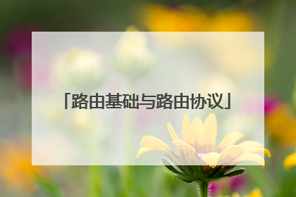 路由基础与路由协议