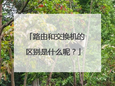 路由和交换机的区别是什么呢？