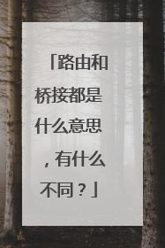 路由和桥接都是什么意思,有什么不同?