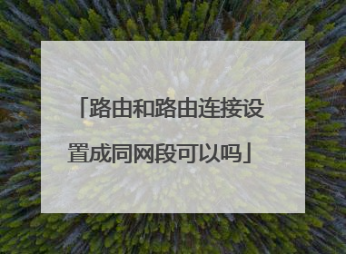 路由和路由连接设置成同网段可以吗