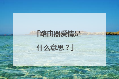 路由器爱情是什么意思？