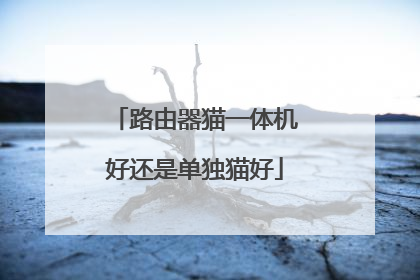 路由器猫一体机好还是单独猫好