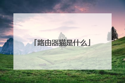 路由器猫是什么