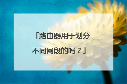 路由器用于划分不同网段的吗？