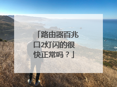 路由器百兆口2灯闪的很快正常吗？