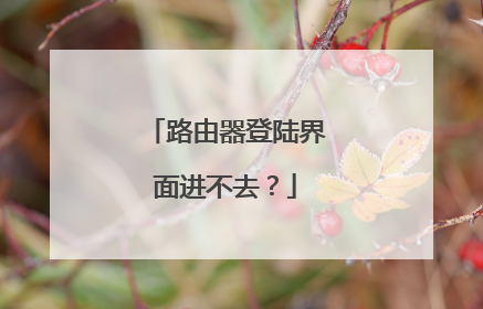 路由器登陆界面进不去?