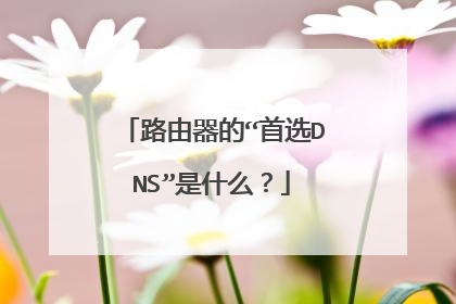 路由器的“首选DNS”是什么？
