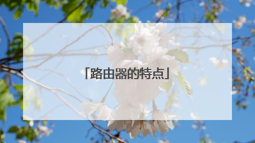 路由器的特点
