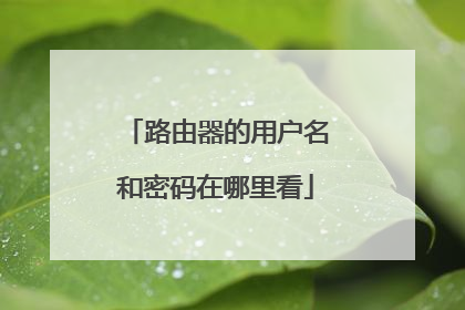 路由器的用户名和密码在哪里看