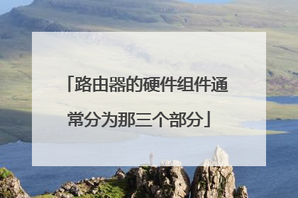 路由器的硬件组件通常分为那三个部分