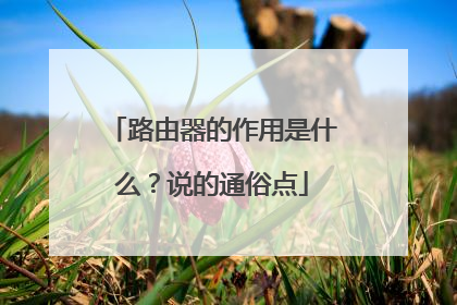路由器的作用是什么？说的通俗点