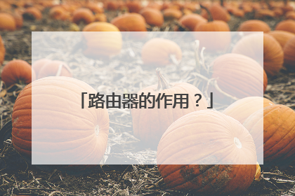 路由器的作用？