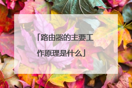 路由器的主要工作原理是什么