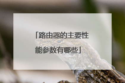 路由器的主要性能参数有哪些