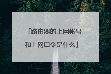 路由器的上网帐号和上网口令是什么