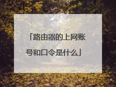 路由器的上网账号和口令是什么