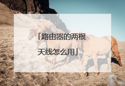 路由器的两根天线怎么用