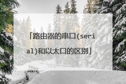 路由器的串口(serial)和以太口的区别
