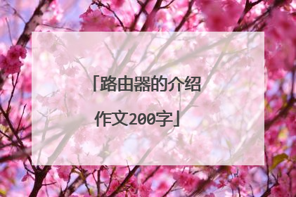 路由器的介绍作文200字