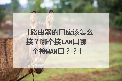 路由器的口应该怎么接？哪个接LAN口哪个接WAN口？？