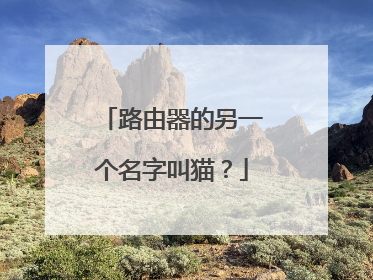 路由器的另一个名字叫猫？