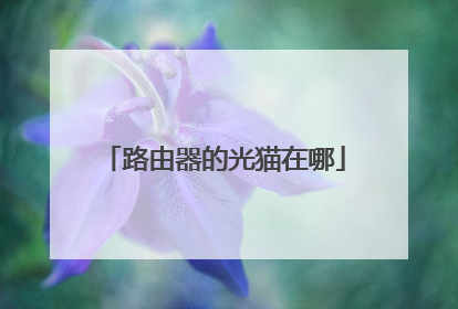 路由器的光猫在哪