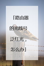 路由器的光线号泛红光,怎么办