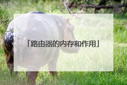 路由器的内存和作用