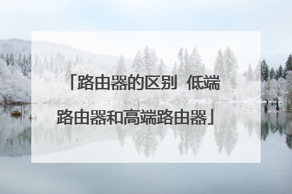路由器的区别 低端路由器和高端路由器