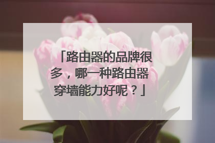 路由器的品牌很多，哪一种路由器穿墙能力好呢？