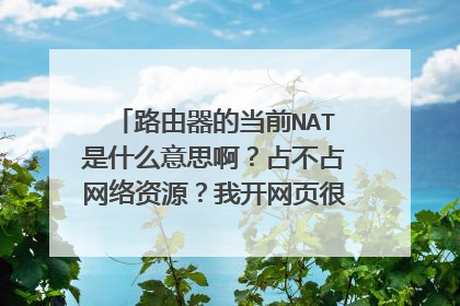 路由器的当前NAT是什么意思啊?占不占网络资源?我开网页很卡,下载就恨快!
