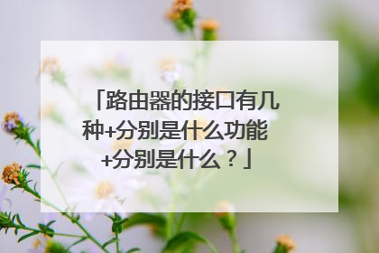 路由器的接口有几种+分别是什么功能+分别是什么?