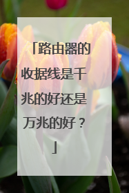 路由器的收据线是千兆的好还是万兆的好？
