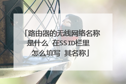 路由器的无线网络名称是什么 在SSID栏里 怎么填写 其名称