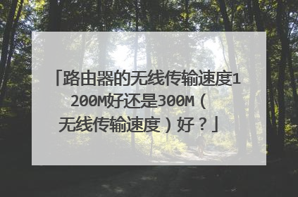 路由器的无线传输速度1200M好还是300M（无线传输速度）好？