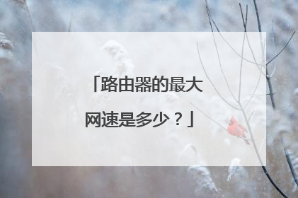 路由器的最大网速是多少?