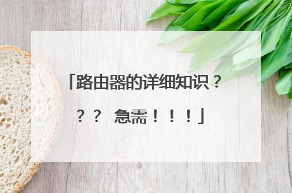路由器的详细知识??? 急需!!!