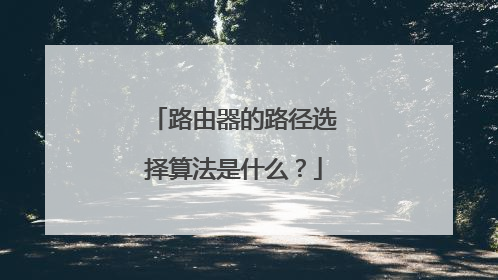路由器的路径选择算法是什么?